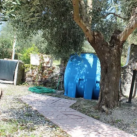 Daisy Villa