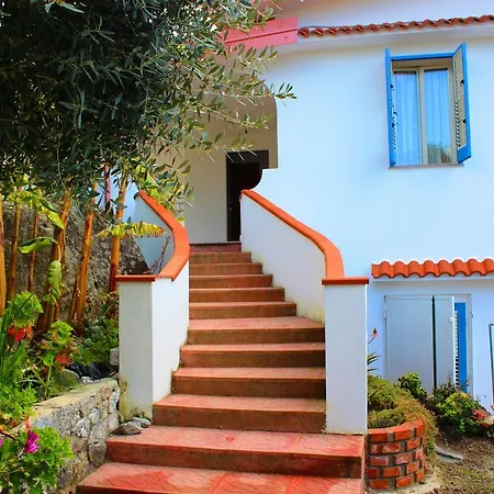 Daisy Villa *